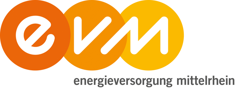 evm_logo
